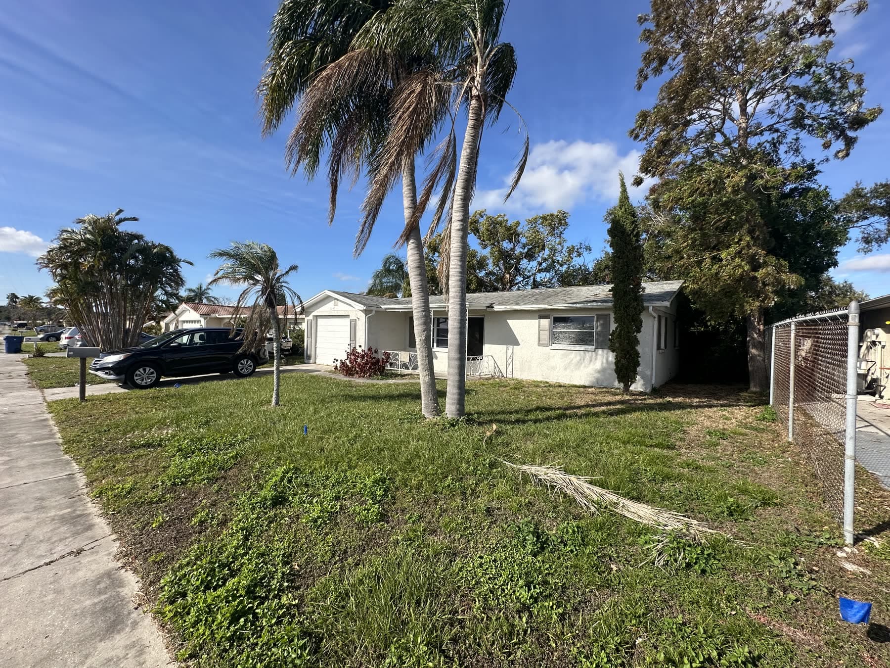 Single-story house with palm trees and a front lawn in Holiday, Florida